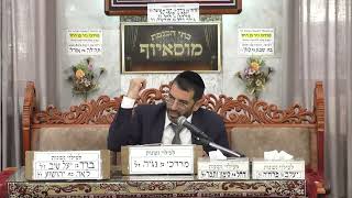 איך הרב ענה על השאלה הכי קשה? (הערוץ של בית הכנסת מוסאיוף) - התמונה מוצגת ישירות מתוך אתר האינטרנט יוטיוב. זכויות היוצרים בתמונה שייכות ליוצרה. קישור קרדיט למקור התוכן נמצא בתוך דף הסרטון