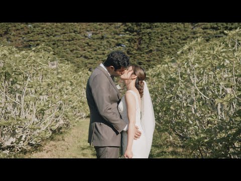 Victoria and Dev - Wedding at the Milk Station, Otaki