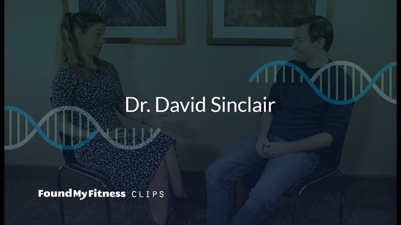 Dosage & supplement factors to consider for resveratrol supplementation | David Sinclair