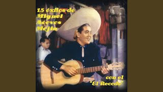 Tú Solo Tú
