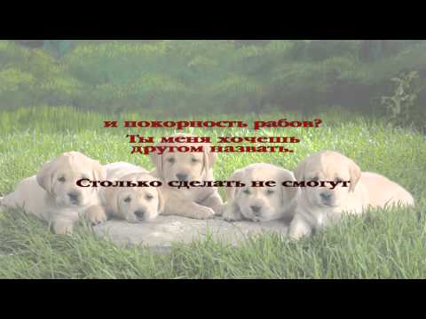 12. Почему Ты стучишь в мое сердце, Христос