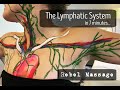 The Lymphatic System In Seven Minutes