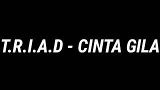 Download lagu T.R.I.A.D - Cinta gila ~ Lyric music indonesia mp3 Download lagu T.R.I.A.D - Cinta gila ~ Lyric music indonesia mp3