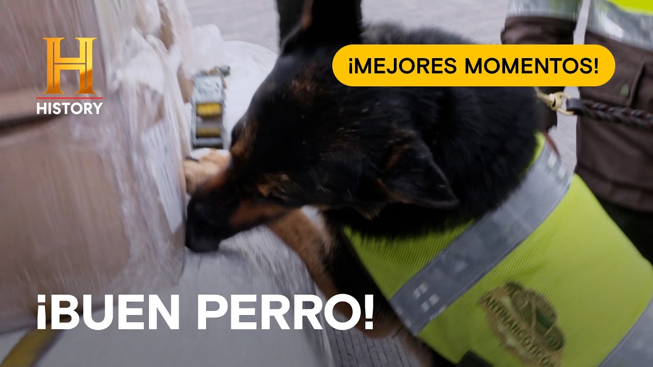 🇨🇴🇧🇷 Lo mejor de COLOMBIA y BRASIL ⚠️ ¡Hallazgos impactantes en el correo! 🚨 ¡ALTO! FRONTERA