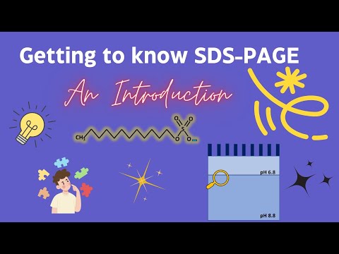 The Science Behind SDS-PAGE: Explained Simply