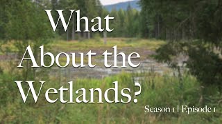 What About the Wetlands? S1 Ep 01