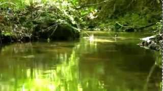 X-Perience - Beautiful day