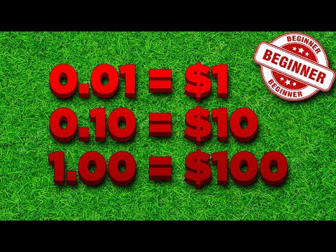 EASIEST Way to Calculate Lot Sizes / Pips in 3 Secs! (No BS Guide)