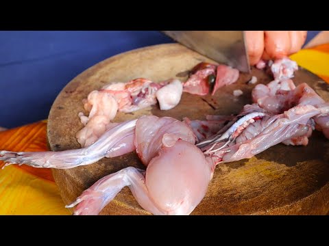 Delicious Bullfrog with Green Pepper | Frog Recipe