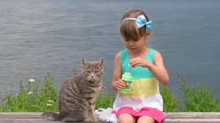 Download lagu Roy Orbison Unchained Melody mp3 Download lagu Roy Orbison Unchained Melody mp3