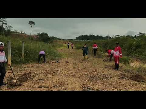 Pembuatan Lubang Tanam
