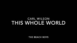 This Whole World - Carl Wilson - The Beach Boys Live 1988