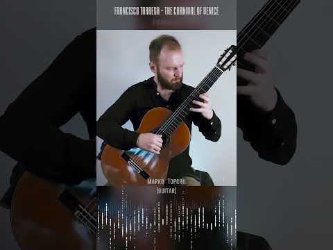 F. Tarrega - Variations on a Theme of Paganini_fragment#short #shorts #paganini #shorts #guitar