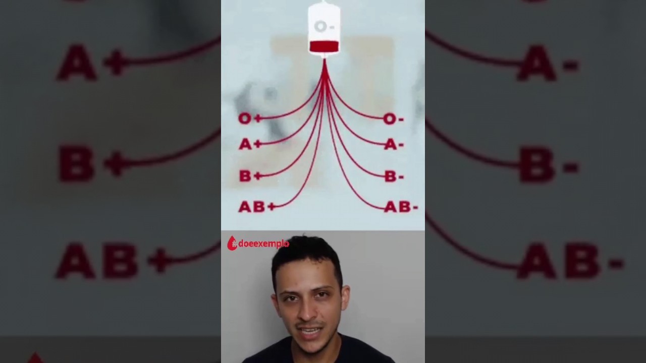 Tudo o que você precisa saber sobre os tipos de sangue: Compatibilidade, doação e importância.