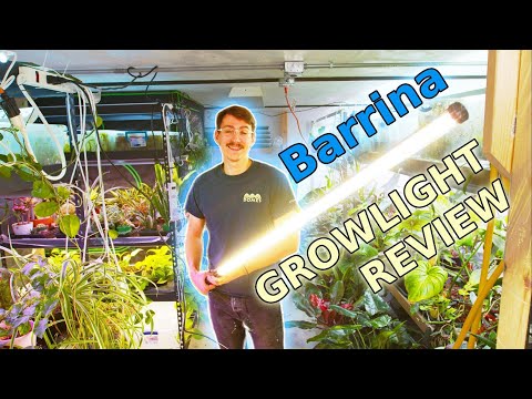 This Grow Light Has LEGS! Barrina T10 Standing Grow Light Review #growlights #houseplants