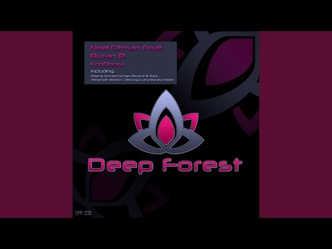 FooDoora (Oleg Espo Remix)