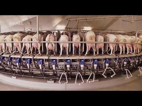 , title : 'Máquinas agrícolas modernas 2017 cabra de ordeño rotativo'