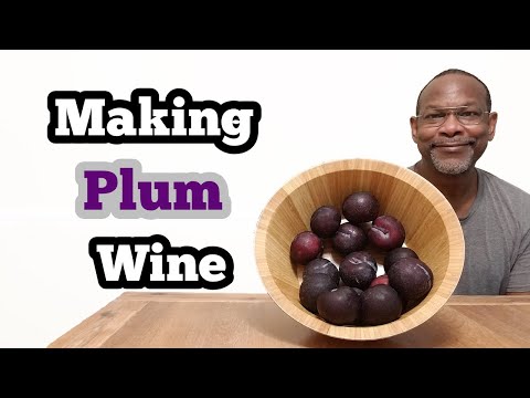Making Plum Wine: 1 Gallon