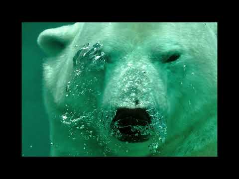 Day 64 Breathing Love...Five Minute Mindful Reset for Adults & Kids