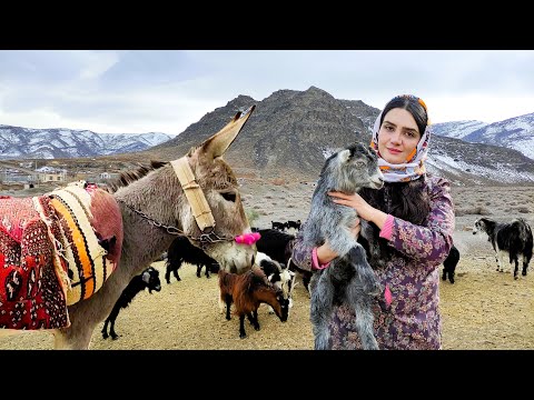 Village Life In Iran: Amazing Bread Baking & Donkey Riding [By A Girl]