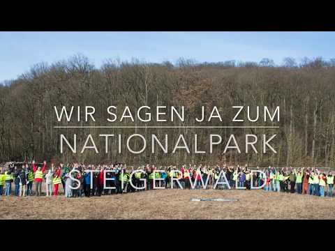Wir sagen JA zum Nationalpark Nordsteigerwald