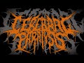 Cerebral Paralysis Promo 2013 Full Promo