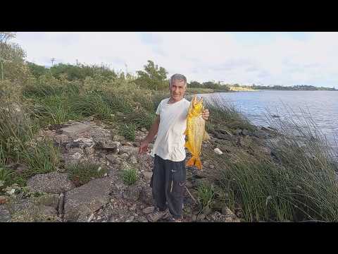 18 febrero 2026 - Laprida y el río - RELEVAMIENTO Y PESCA - LUGAR NUEVO - Esperamos su apoyo. Abrazo