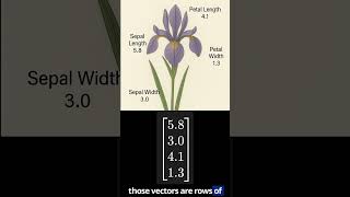 Why are Eigenvectors and Values Important