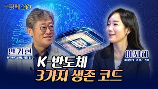 AI반도체 시대! 투자처는 바로 이것입니다! [안기현 한국반도체산업협회 전무]_이지혜경제쇼YO...4080경제쇼!