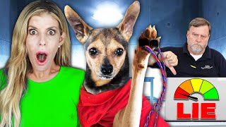 Dogs Take LIE DETECTOR TEST for the First Time