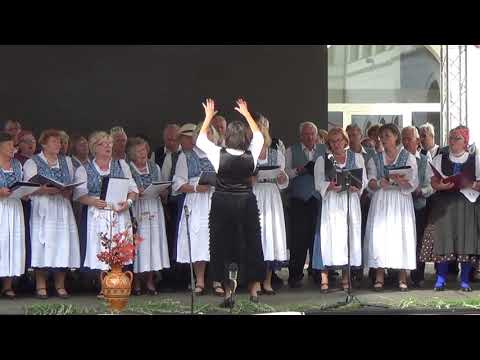 7. Seksarder Weinlese-Chortreffen 2021