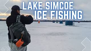 I Caught Jumbo Perch on Lake Simcoe with Terry Goy Blue Ice Huts!