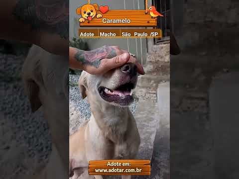 Vídeo de Caramelo