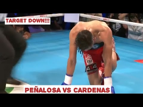 TARGET DOWN! DAVE PEÑALOSA (PHILIPPINES) VS MARCOS CARDENAS (MEXICO) TKO