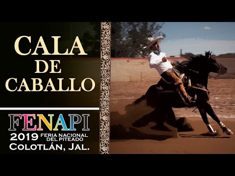 CALA DE CABALLO - Colotlan Tournament, Jalisco 2019