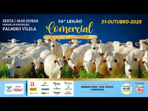 56º LEILÃO COMERCIAL - SÃO GERALDO DO ARAGUAIA / PA