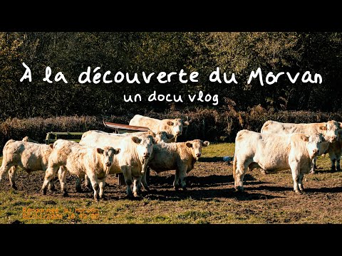 Découverte du Morvan : une belle randonnée en Bourgogne (docu vlog)