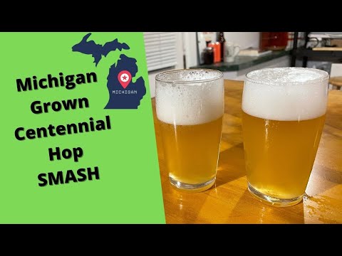 Comparing Michigan and Yakima Valley Grown Centennial Hops - SMaSH Beer Experiment