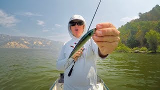 Flash pointer 115 lucky craft