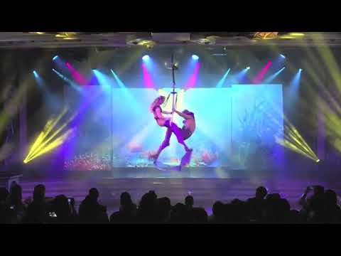 2330 aerial anchor duo