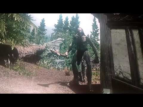 Home invasions (Skyrim)