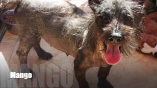 Look who needs saving!