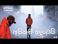 Apinam Thawei අපිනම් තැවෙයි Dhananjaya Bandara Official Lyrics Video