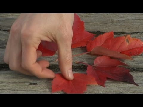 Chapter 7: Common Ground & Third Things (Parker J. Palmer)