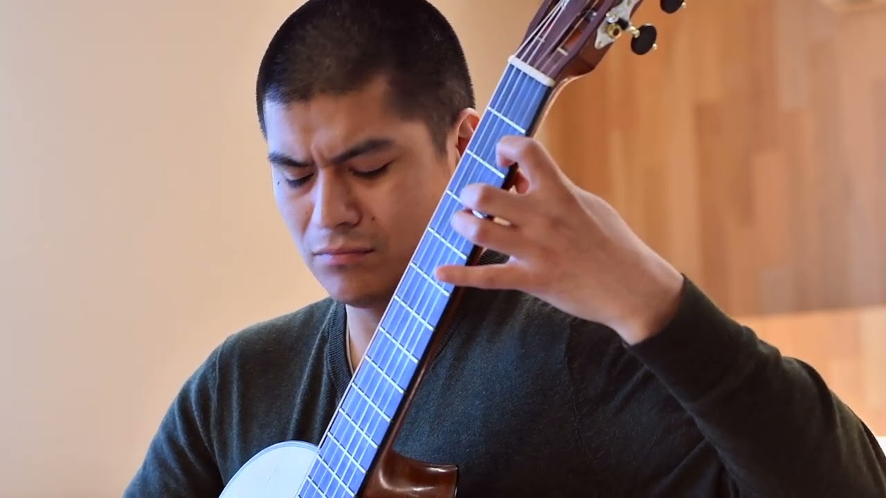 Promotional video thumbnail 5 for Matt Kaplan - Classical Guitar