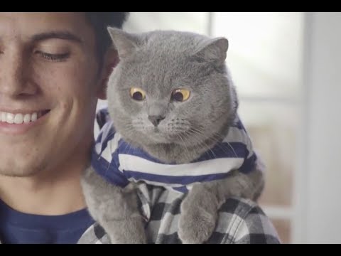 download lagu mp3 mp4 Aarons Compilations X 20 4, download mp3 Aarons Compilations X 20 4 free download, download mp3 Aarons Compilations X 20 4