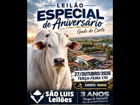 São Luís de Montes Belos  - GO   27/10/2026