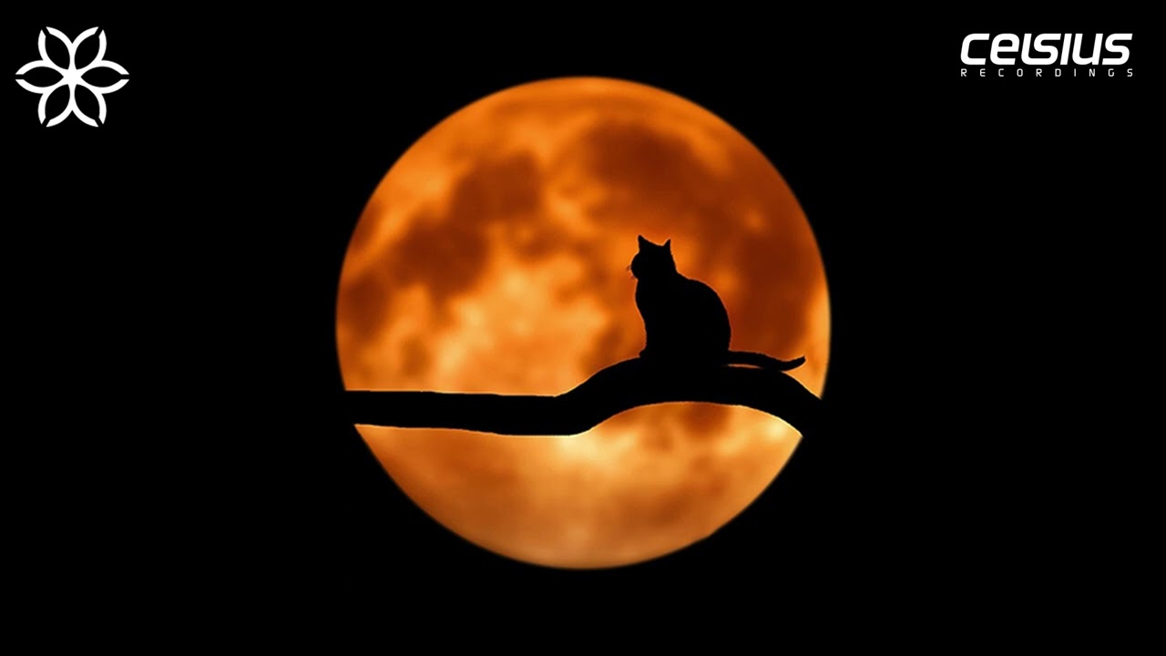 Geety - Say Your Name