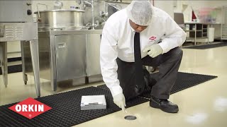 Best Pest Control Companies in Dayton OH - Orkin Dayton  video Best Pest Control Companies in Dayton OH - Orkin Dayton  video