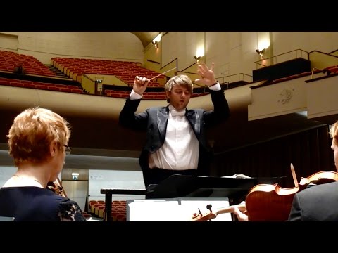 What is the role of the Conductor?